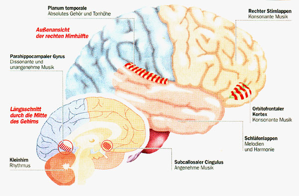 Musik und Gehirn